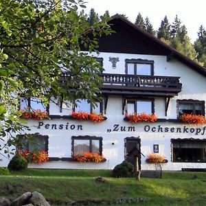 Am Ochsenkopf